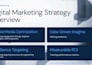 design professional social media posts using canva